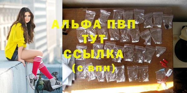 спайс Михайлов