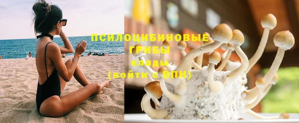 СК Михайловка