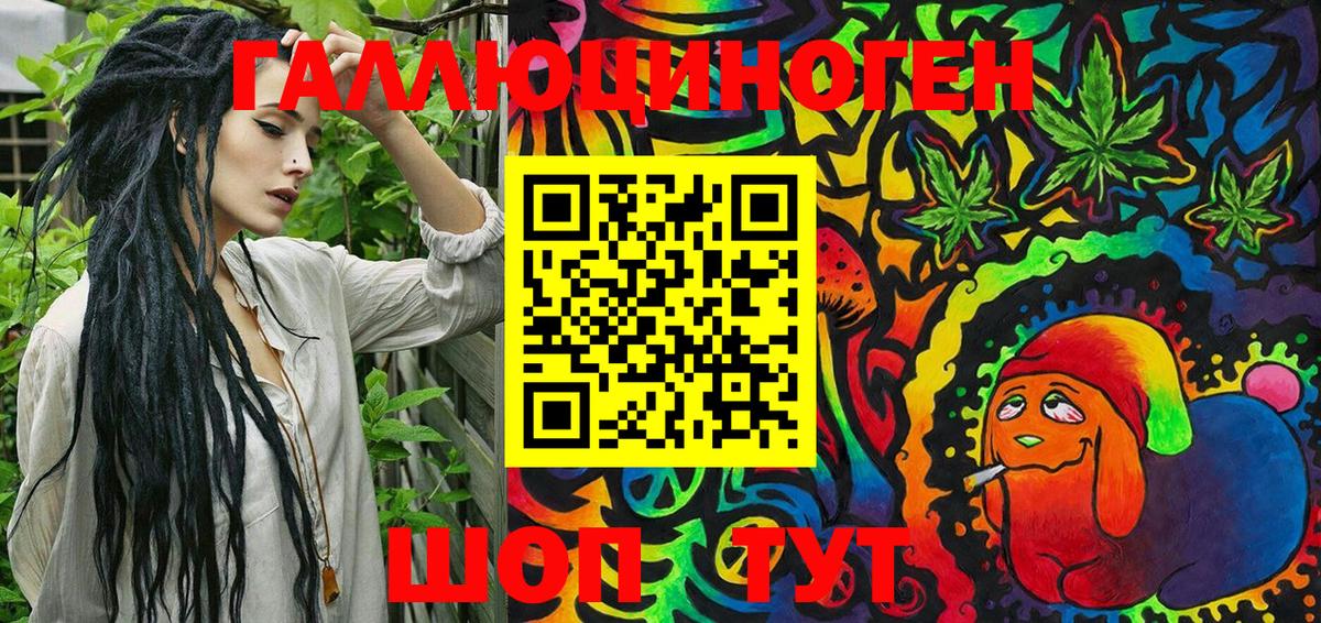 Псилоцибиновые грибы Psilocybe  Вход с VPN  Каменск-Уральский 